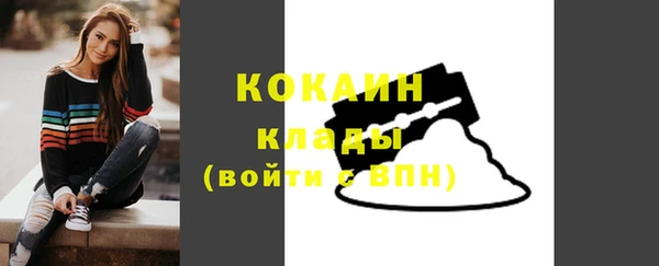 твердый Новодвинск