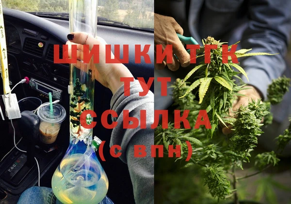 твердый Новодвинск